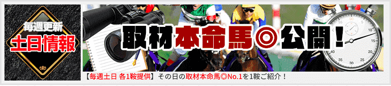 競馬ナックル有料02