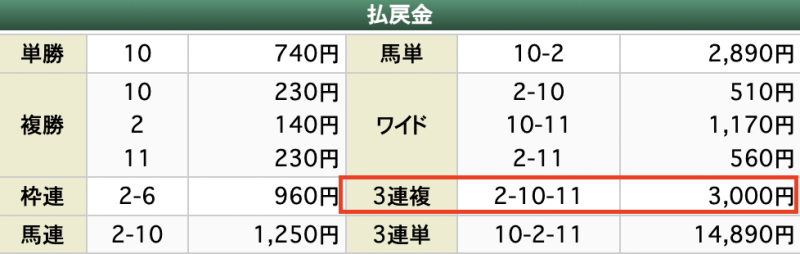 横綱ダービー的中買い目